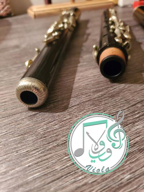 اصول اساسی برای تولید صدا از نی | آموزشگاه موسیقی ویولا